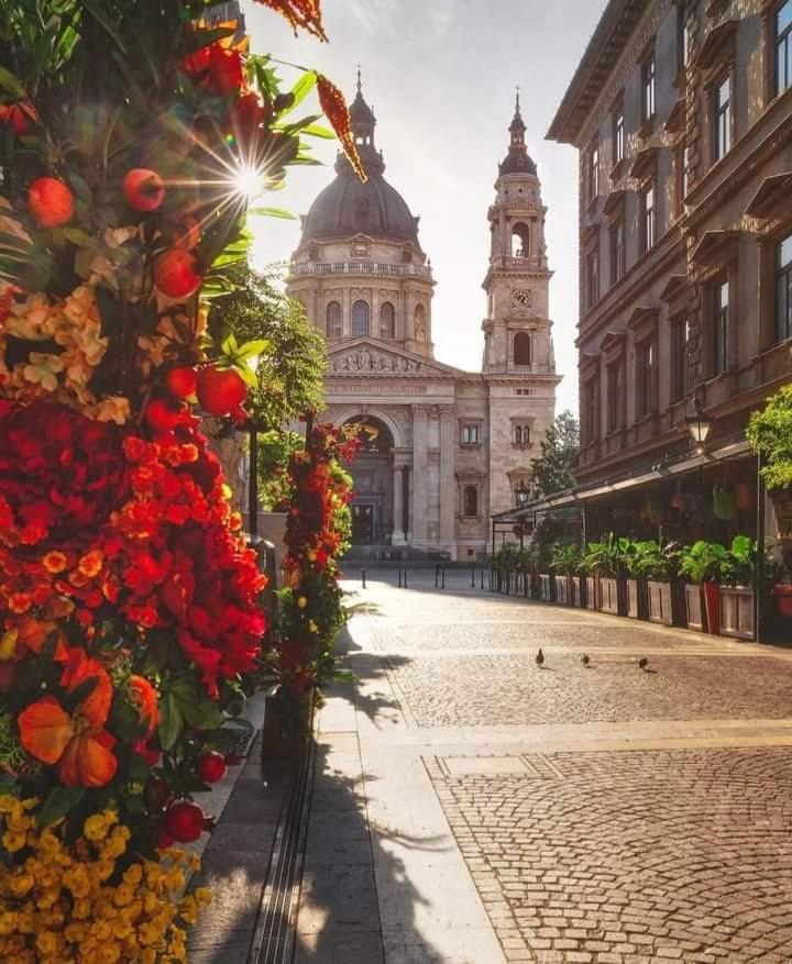 Downtown Elegance Apartment Budapesta Exterior foto